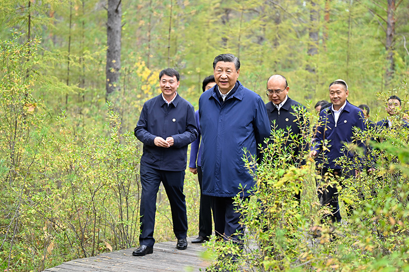 9月6日至8日，中共中央總書記、國家主席、中央軍委主席習近平在黑龍江考察。這是6日下午，習近平在大興安嶺地區(qū)漠河市漠河林場自然林區(qū)考察